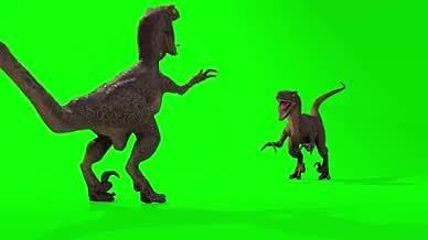 恐龙相互打斗、咆哮4k高清绿屏镜头视频的预览图